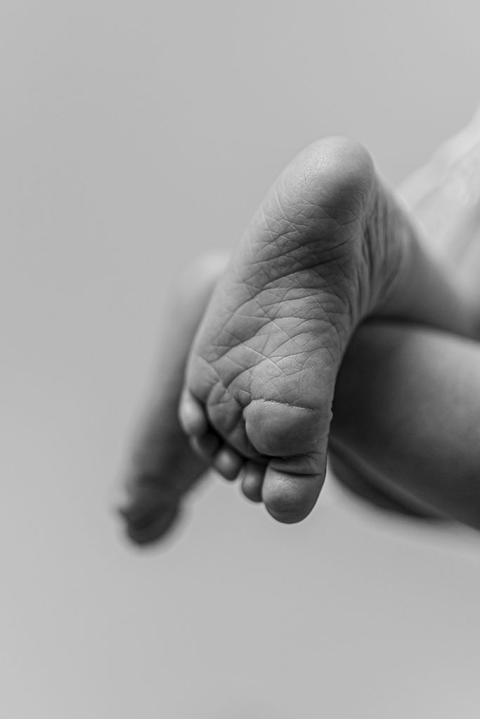 Newborn-Portraits von VG Photography